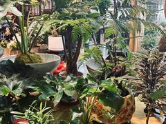 -花鸟鱼虫鲜花绿植市场(玉泉路店)