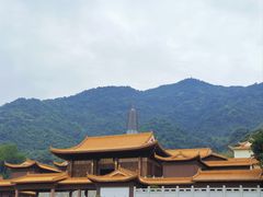 -深圳仙湖植物园