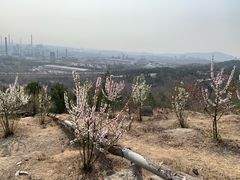 -白水寺森林公园