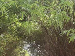 -樾餐厅泰式海鲜火锅(民歌湖店)