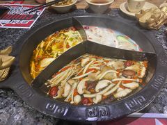 奔驰锅底-蜀大侠火锅(森兰花园城店)