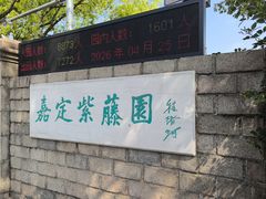 -嘉定紫藤园