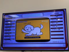 -北京观赏动物医院·24小时大型综合·猫专科·异宠专科