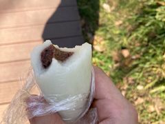 马蹄糕-许阿姨糕团店(南京总店)