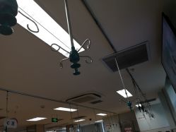 -首都医科大学附属北京儿童医院