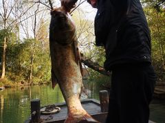 -烟水渔庄餐厅(西溪湿地店)