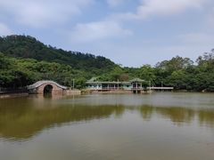 -大雁山风景区