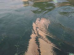 -苏州湾王焰温泉度假酒店