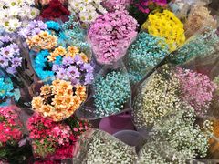 -宝鸡东道花鸟鱼虫市场(吉利花园商场店)