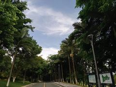 -东莞植物园