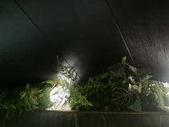 -华夏良子·足道SPA艾灸(金皇大厦店)