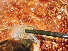 鲜毛肚-江二娃串串香(科园四路总店)