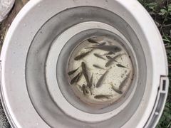 -重庆彩云湖湿地公园