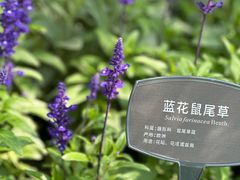 -国家植物园