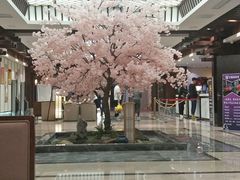 -添赐温泉馆(上南路店)