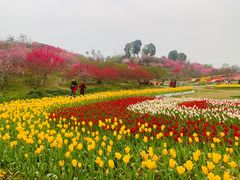 -秀丽东方