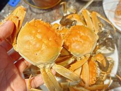 -曼格活海鲜·牛排自助(光明蓝鲸店)
