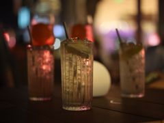 -识酒猫 x SNAP(国贸商城店)