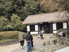 -庐山风景区花径公园