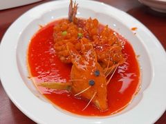 -丁老爷子苏香圆