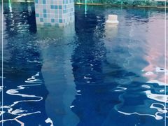 -SHRIMP CLUB万东餐饮钓虾·清吧