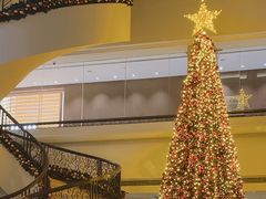 -深圳香格里拉酒店