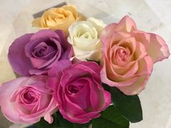 BHG&nbsp;Market&nbsp;Place(水游城店)-BHG Market Place(水游城店)