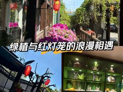 -慢丽江·云南野生菌土鸡锅(西山店)