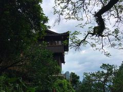 -大面山