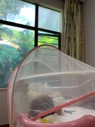 点击看大图 -宝生月子中心(独栋园林·福田店)