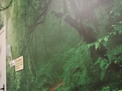 -百玺足道(柳沙店)