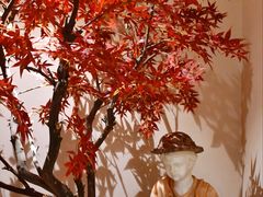 -汤泉良子.足疗按摩.SPA(中关村店)