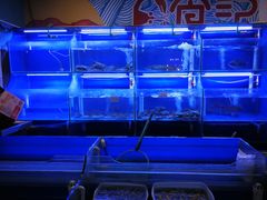 水产区-日食记精菜馆(建邺万达店)