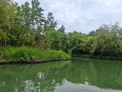 -西溪国家湿地公园