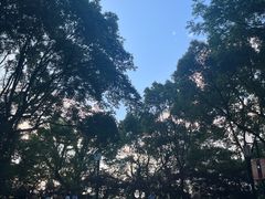 -岳麓山风景名胜区