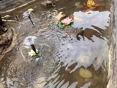 -七味轩中华传统文化主题酒楼(泽信广场店)