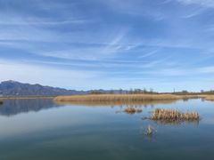 -野鸭湖国家湿地公园