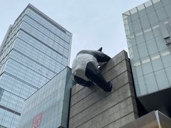 -小龙坎火锅(双林店)