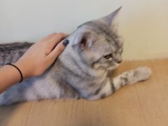 -H立方实景剧情密室(天河旗舰店)