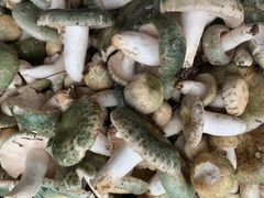 -双喜农庄·菌香园(安居家园店)