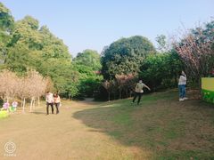 -南山植物园