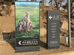 -罗红摄影艺术馆