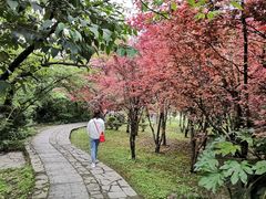 -贵阳市花溪国家城市湿地公园