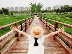 -汉长安城未央宫国家考古遗址公园