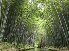 -同里国家湿地公园