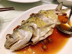 -光头匠