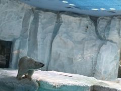 -珠海长隆海洋王国