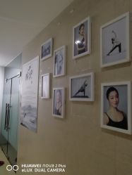 -榕树上·瑜伽普拉提