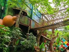 -呀路古热带植物园