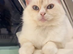 -怪兽屋·羊驼·猫咖·狗咖(俊华广场店)